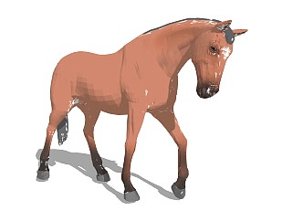 精品动物模型  马 (3)